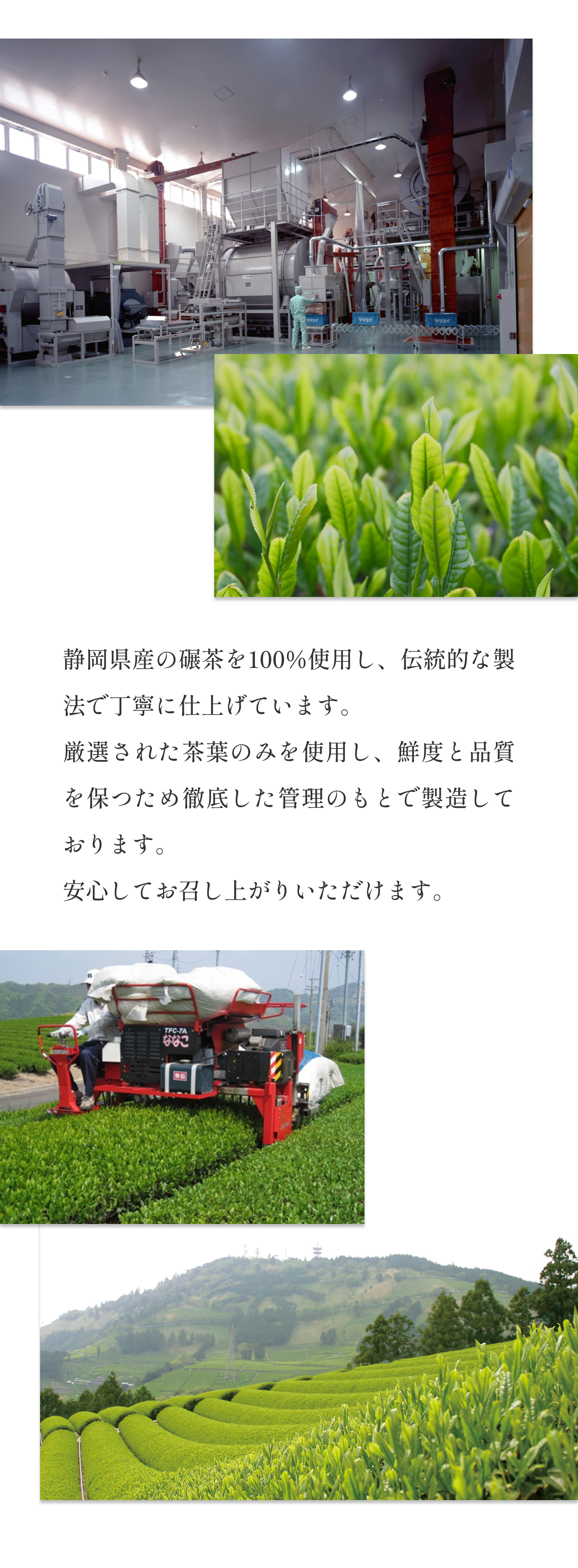 本格的なお点前からラテまで幅広くお楽しみいただけます。静岡県産の碾茶を100%使用し、伝統的な製法で丁寧に仕上げています。鮮度と品質を保つ徹底した管理のもと製造された安心の品質。
