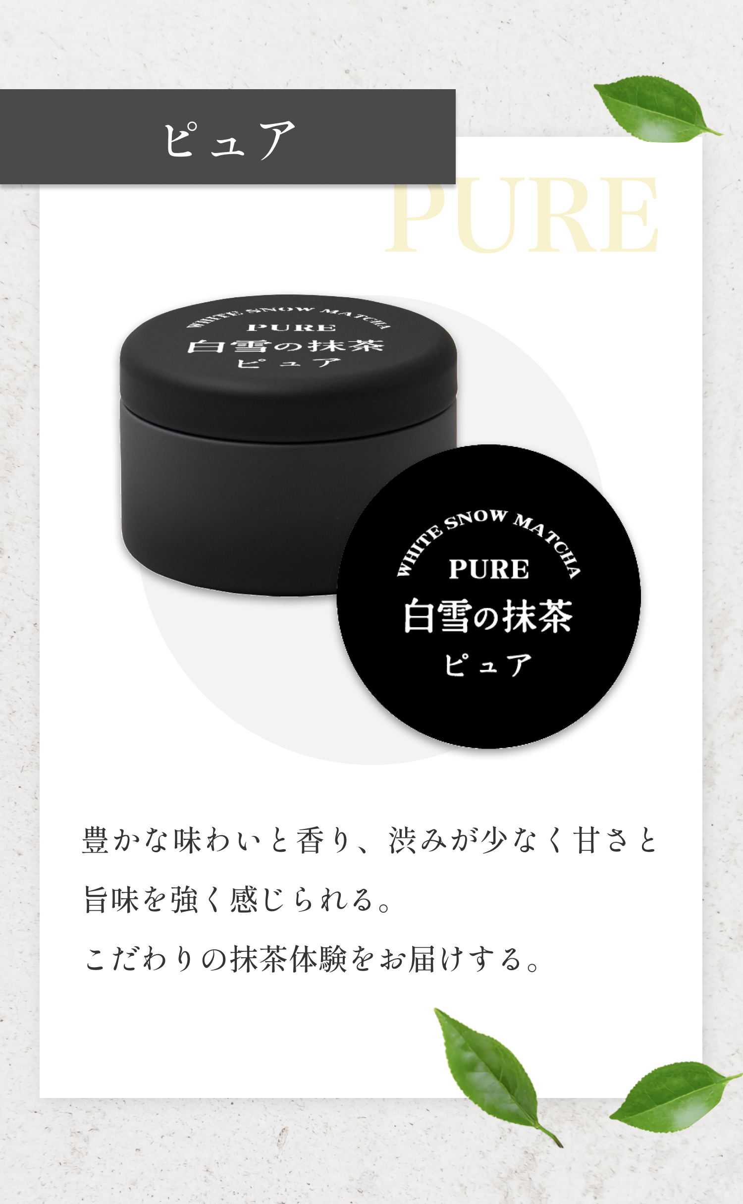 白雪の抹茶【ピュア -Pure-】豊かな味わいと香り、渋みが少なく甘さと旨味を強く感じられる。こだわりの抹茶体験をお届けする。